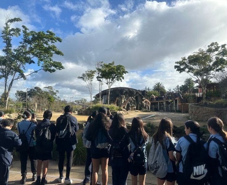 An image of students at the zoo observing Giraffes.
