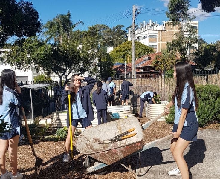 An image of students gardening in our school garden.
